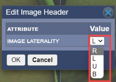 changing laterality dropdown
